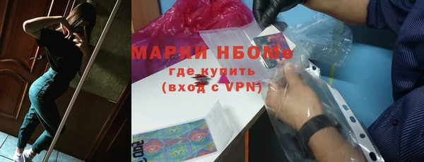 индика Богородск