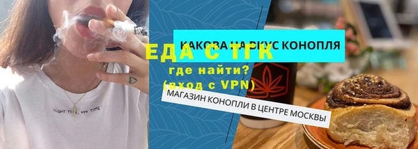 индика Богородск