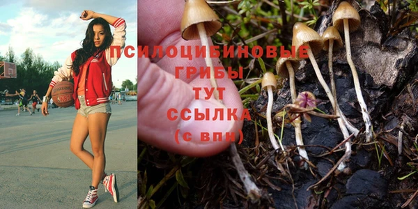 индика Богородск