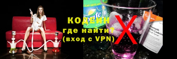 индика Богородск