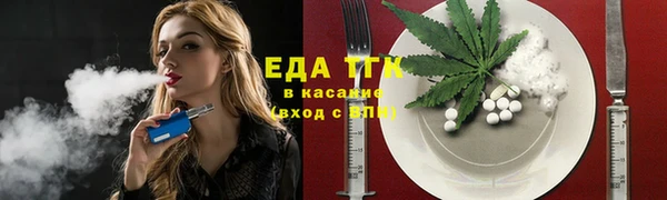 индика Богородск