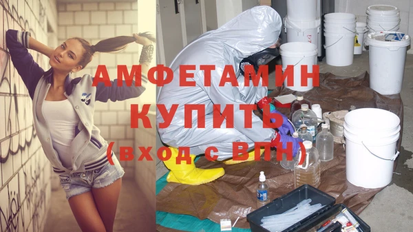 индика Богородск