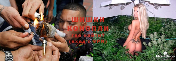 индика Богородск