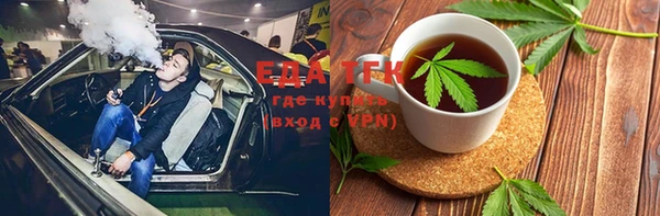 индика Богородск