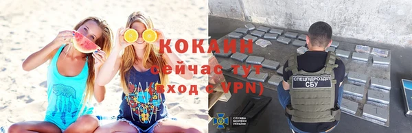 индика Богородск
