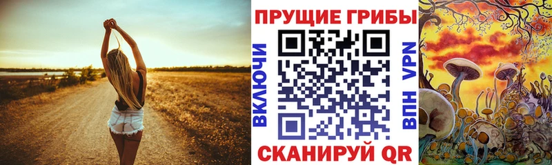 Галлюциногенные грибы Psilocybe  Коркино 